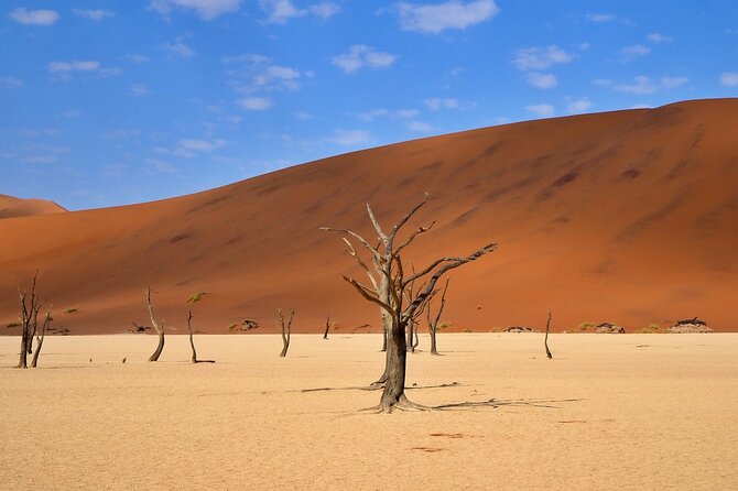 10 Day Discover Namibia Small Group Safari - Why this route works for a first Namibia trip