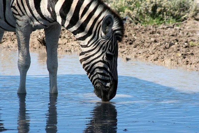 10-Day Namibia Highlights Guided Tour from Windhoek - Is $3,111.80 a fair price for 10 days?