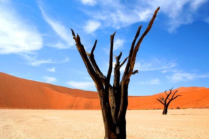 10-Day Namibia Highlights Guided Tour from Windhoek - Day 3: Namib-Naukluft scenery and the Tropic of Capricorn