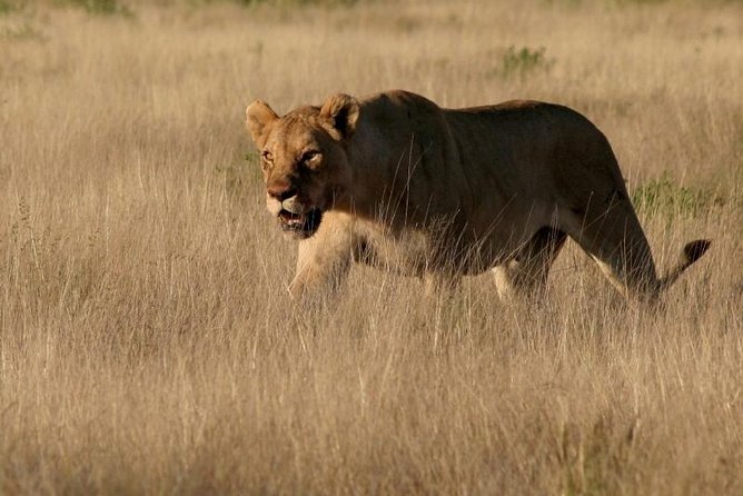10-Day Namibia Highlights Guided Tour from Windhoek - Day 1: Spreetshoogte Pass and the road to the Namib