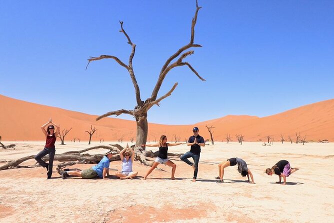 10-Day Private Yoga Adventure in Namibia - Day 6: Choose Your Swakopmund Adventure