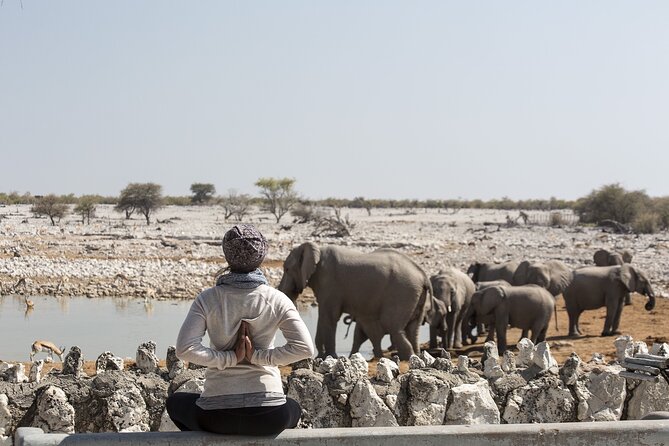 10-Day Private Yoga Adventure in Namibia - Day 7: The Long Road to Sossusvlei