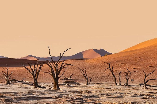 10 DAYS BEAUTY OF NAMIBIA | Guided Lodge - Why this route works for a first Namibia trip