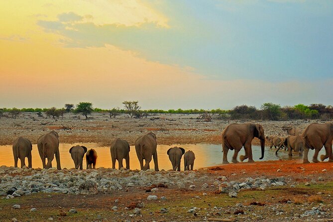 10 DAYS BEAUTY OF NAMIBIA | Guided Lodge - Day 6: Walvis Bay by boat, then Dune 7