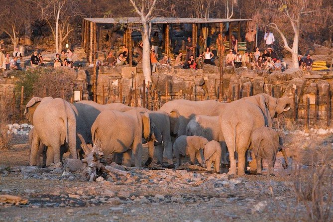 10 DAYS BEAUTY OF NAMIBIA | Guided Lodge - Day 1: Okahandja woodcarvers and the road north