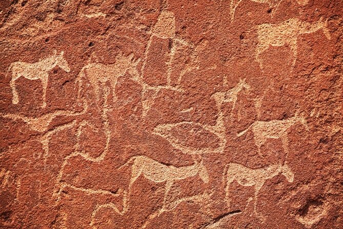 10 Namibia Adventures - Key points to know before booking