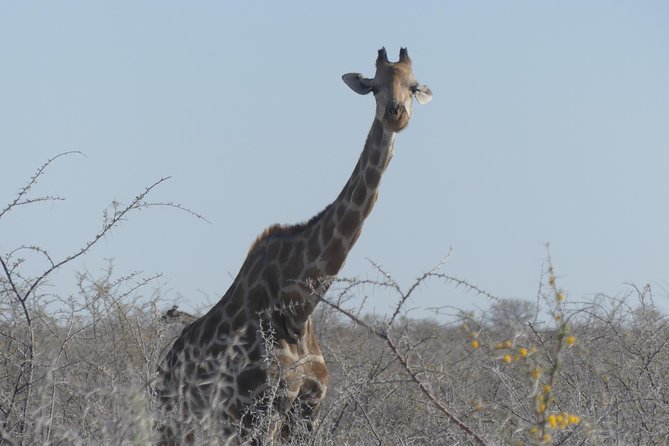10 Namibia Adventures - Day 1: Getting your bearings in Windhoek