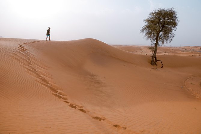 10 Namibia Adventures - Day 5: Sossusvlei, Deadvlei, and the big dunes