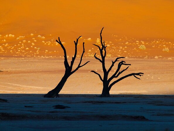 11 Days Small Group Namibia Experience Fully Accommodated Tour - Key points at a glance