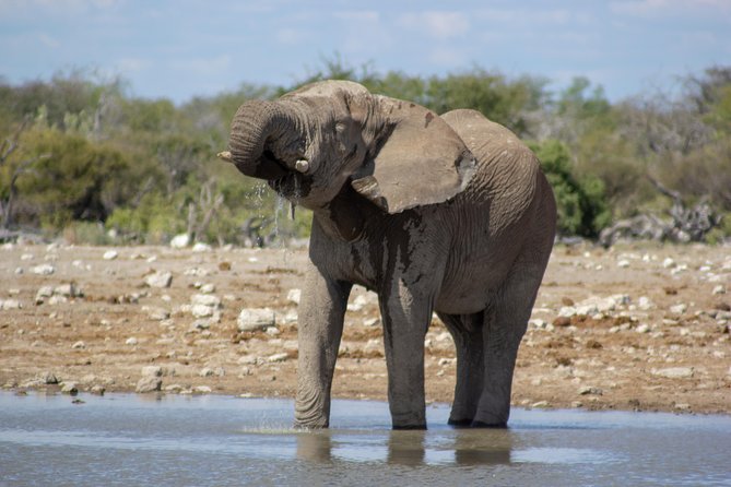 11 Days Small Group Namibia Experience Fully Accommodated Tour - What the $4,500 price really buys you