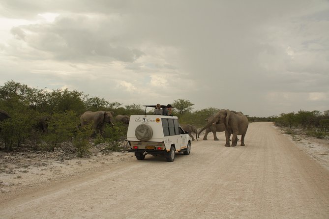 11 Days Small Group Namibia Experience Fully Accommodated Tour - Day 4: Across the Tropic of Capricorn to Swakopmund