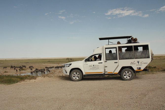 11 Days Small Group Namibia Experience Fully Accommodated Tour - Day 5: A free day in Swakopmund