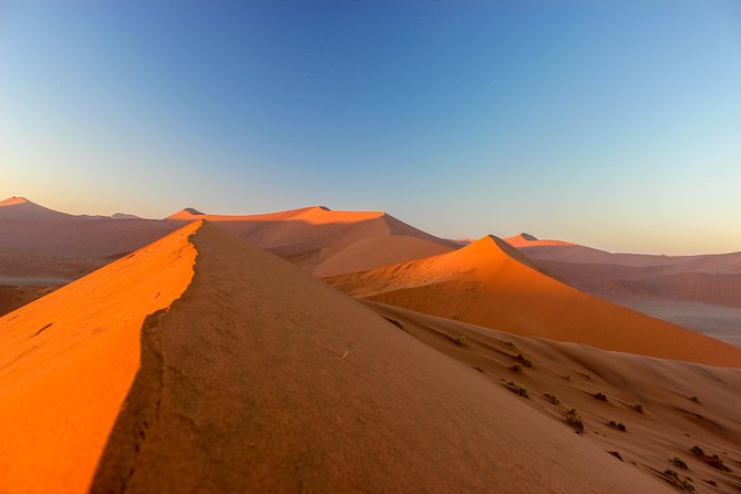 11 Days Small Group Namibia Experience Fully Accommodated Tour - Day 2: From Kalahari bush walks to the Namib