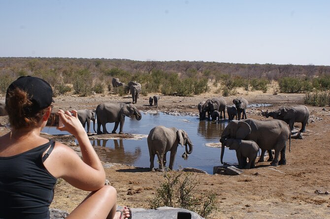 12 Day Classic Namibia Camping Safari - Two nights in Etosha, with the best wildlife odds