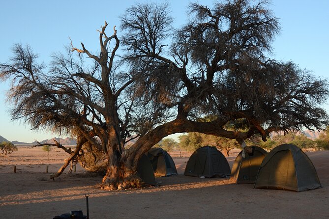12 Day Classic Namibia Camping Safari - Skeleton Coast, Cape Cross, and a night beside the Atlantic