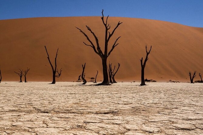 2 Day Scenic Sossusvlei Adventure Tour in Namibia - Why this two-day route works from Swakopmund
