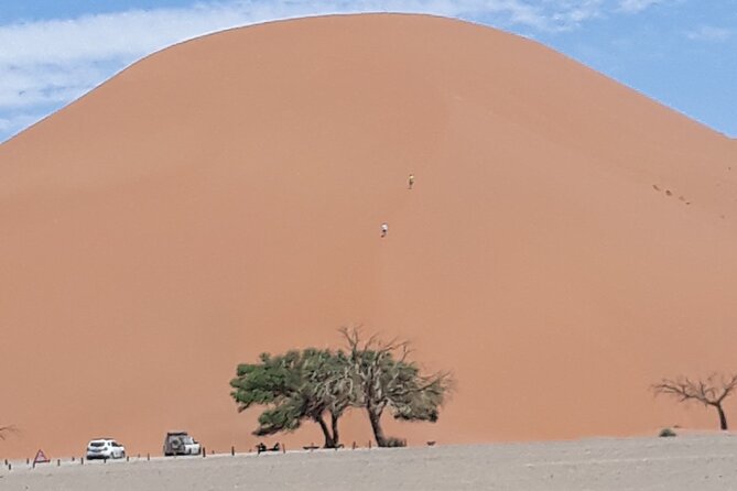 2 Day Scenic Sossusvlei Adventure Tour in Namibia - Welwitschia Plains and the desert’s living oddities