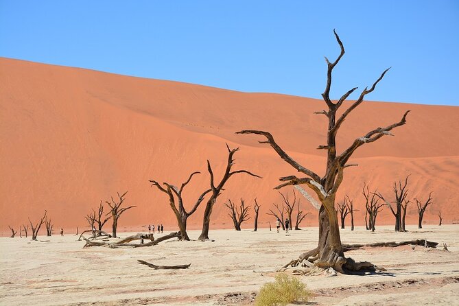 2 Days Guided Tour in Sossusvlei and Sandwich Harbor - Why this tour works for a short Namibia visit