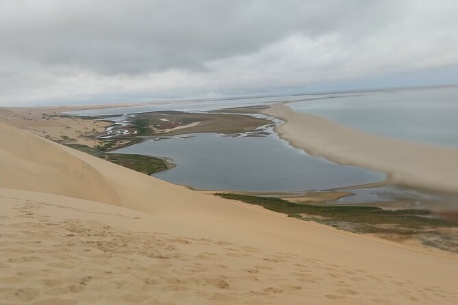 2 Days Guided Tour in Sossusvlei and Sandwich Harbor - Sossusvlei under the Anna trees
