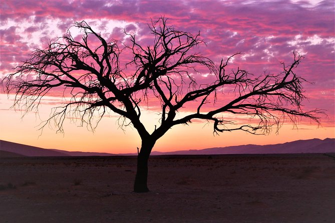 2 Days Sossusvlei Private Camping Tour - Leaving Windhoek at 9:00 a.m.
