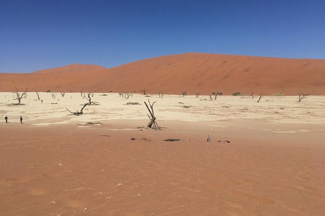 3 Day Camping safari at Sossusvlei - Key points before you book