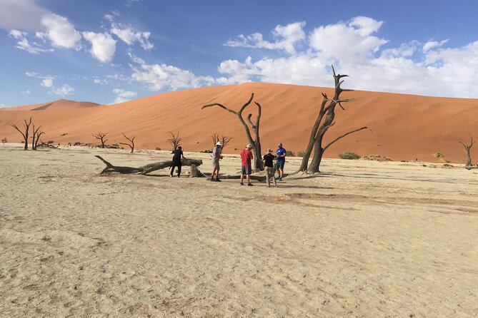3 Day Camping safari at Sossusvlei - Day 1: The long road to Sesriem