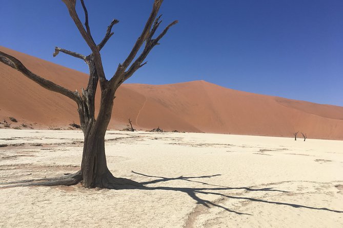 3 Day Camping safari at Sossusvlei - What the $720 price really covers