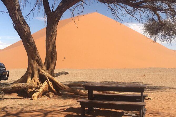 3 Day Camping safari at Sossusvlei - The guide and vehicle can make or break the trip