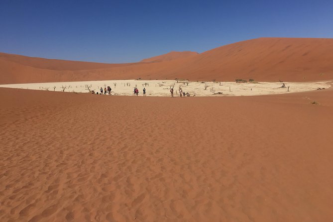 3 Day Camping safari at Sossusvlei - Day 2: Deadvlei, Big Daddy, and Dune 45