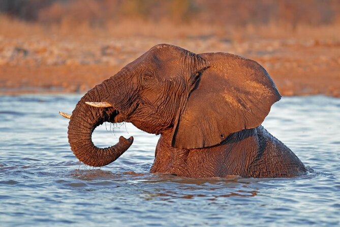 3 Day Etosha Budget Camping Safari - Key points to know before booking