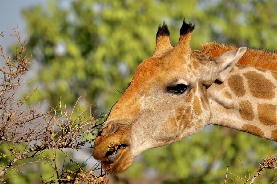 3 day Sossusvlei Camping - The key details at a glance