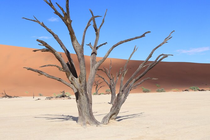 3 Day Sossusvlei Camping Schedule and Sandwich Habor - Why this three-day route works