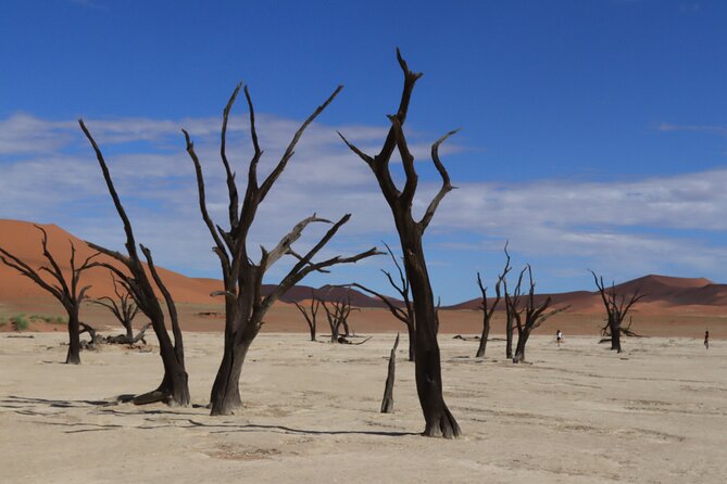 3 Day Sossusvlei Camping Schedule and Sandwich Habor - Day 2: Sossusvlei, Big Daddy, and Deadvlei