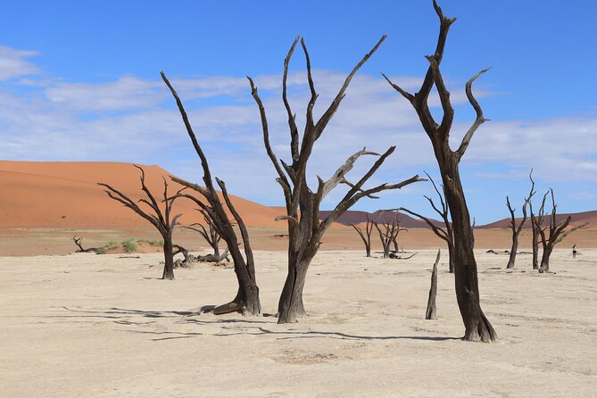 3 Day Sossusvlei Camping Schedule and Sandwich Habor - The guide can make or break the long road days