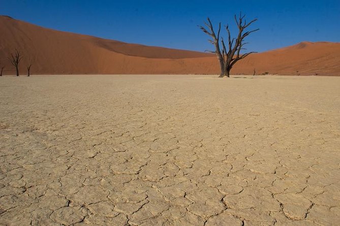 3-Day Sossusvlei Express Accommodated Safari from Swakopmund - Meals, rooms, and what to pack