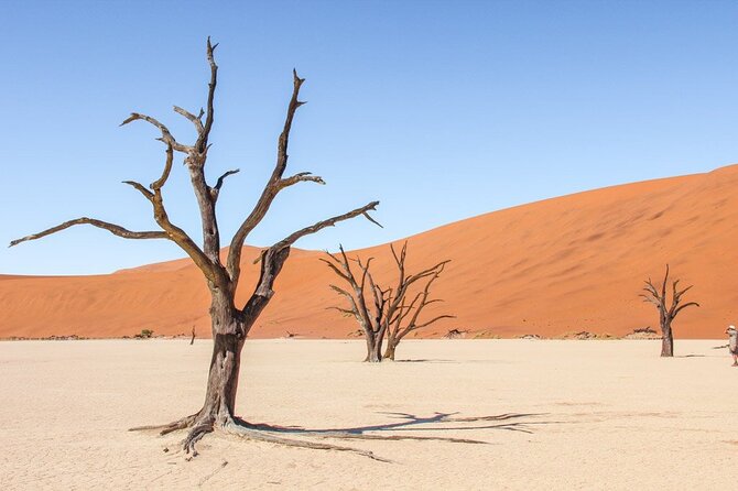 3 Days Amazing Red Dunes of Sossusvlei | Private Guided Tour - Namib-Naukluft Park and the oldest desert setting