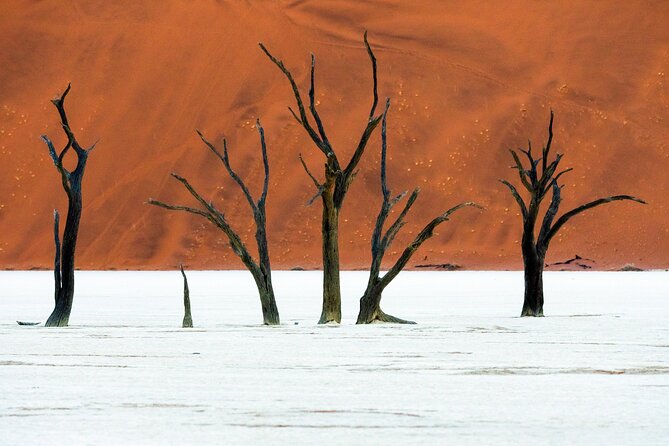 3 Days Amazing Red Dunes of Sossusvlei | Private Guided Tour - Dune 45 at sunrise