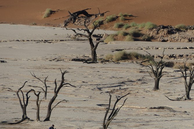 3 Days Amazing Red Dunes of Sossusvlei | Private Guided Tour - Sesriem Canyon’s cooler, narrower world
