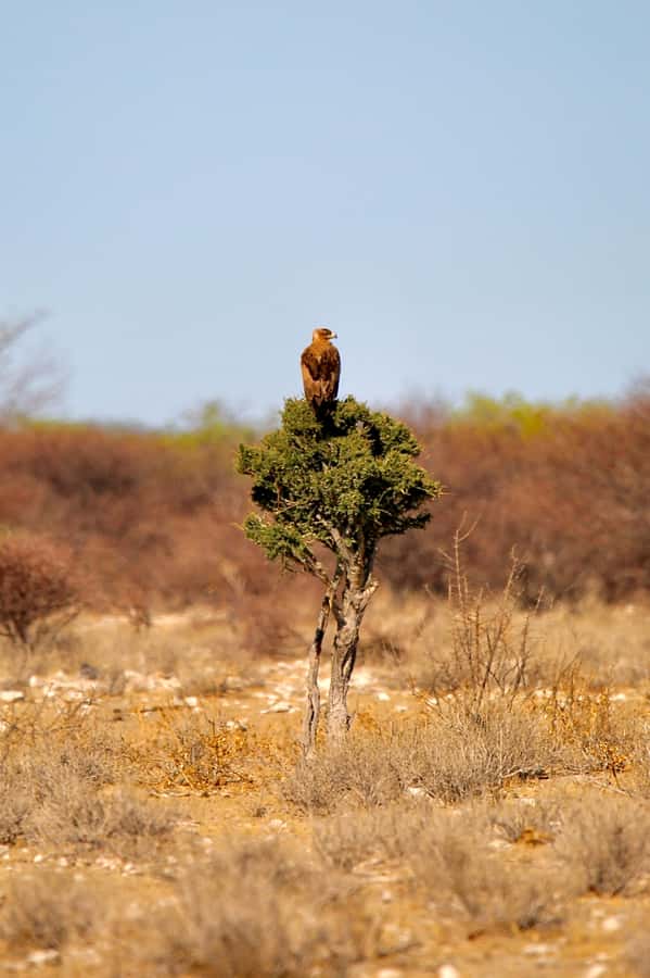 4 day Sossusvlei and Swakopmund Lodging - Key points to know before booking