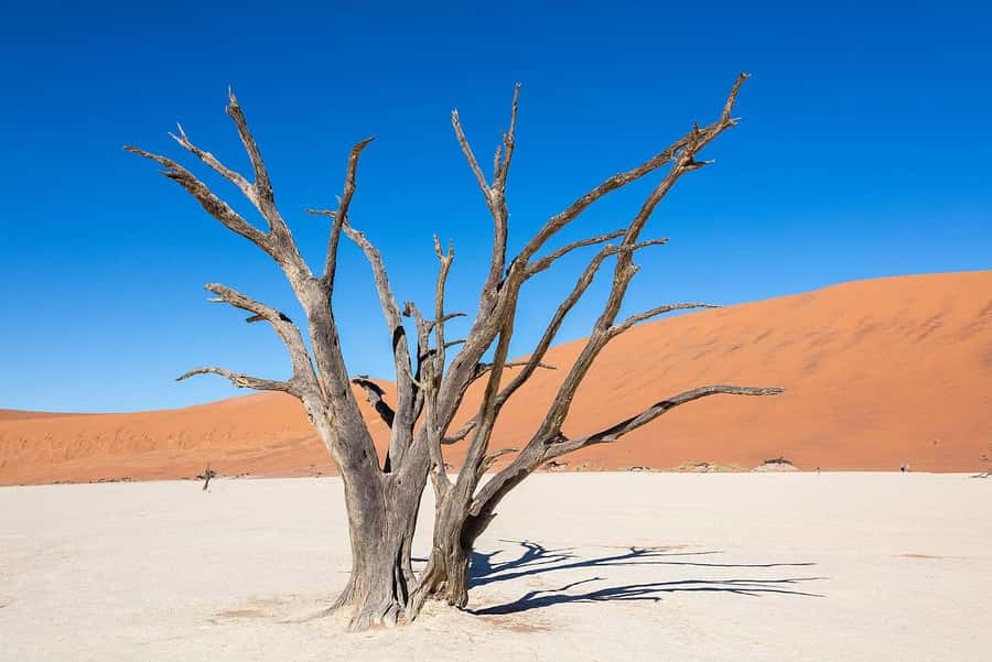 5 Days Sossusvlei and Swakopmund Tour - Shared Shuttle - Day 1: leaving Windhoek before sunrise