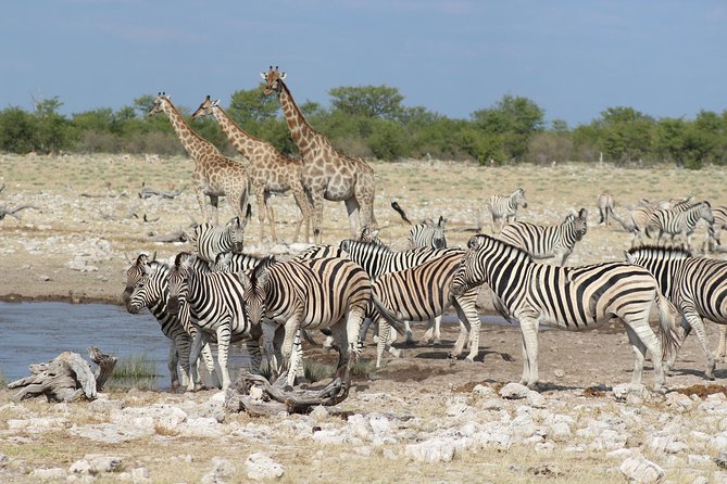 6 Day Private Guided Accommodated Namibian Loop - What the six-day Namibia loop is really like