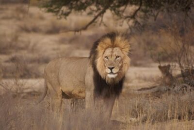6 Day Private Guided Accommodated Namibian Loop
