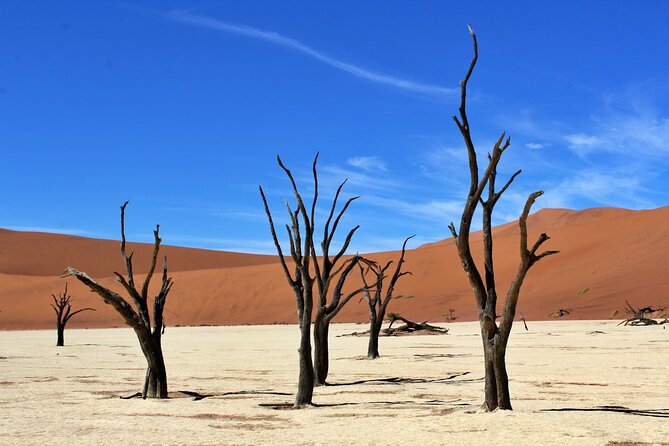 6 Day Private Guided Accommodated Namibian Loop - Day 6: Optional balloon flight and the return to Windhoek