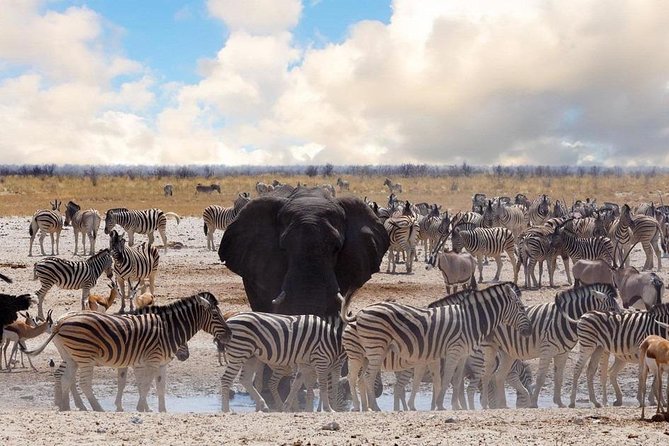 6 DAYS ETOSHA,SWAKOPMUND & SOSSUSVLEI- NAMIBIA (Lodging) - Day 1: From Windhoek through Okahandja to Etosha
