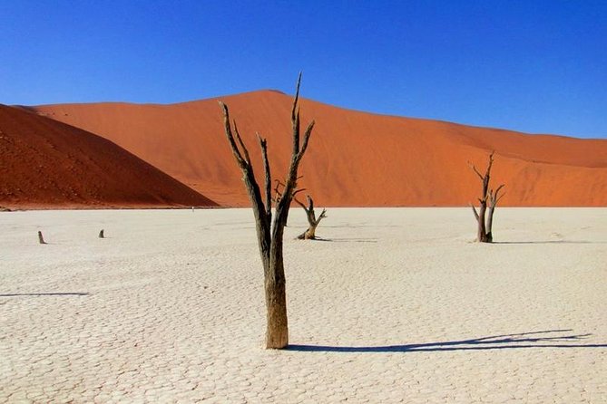 7 Day - Kalahari TOP attractions - Lüderitz and the Atlantic edge
