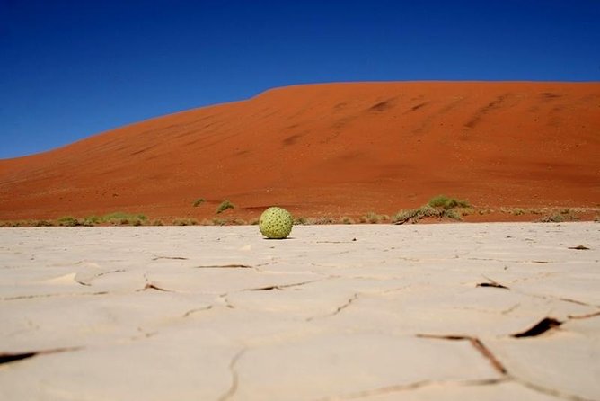 7 Day - Kalahari TOP attractions - Into the Kalahari: Quiver Tree Forest and Giant’s Playground