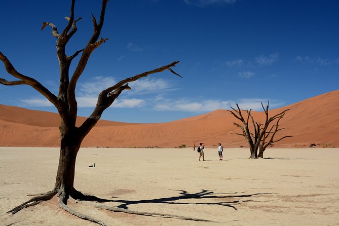 7 Day Southern Namibia and Sossusvlei Camping Safari - Day five: Kolmanskop and the Atlantic town of Lüderitz