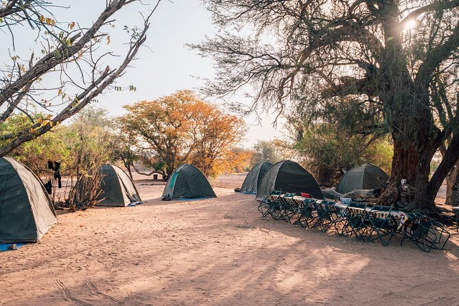7 Day Taste of Namibia Lodging Safari - Day 6: Sossusvlei and the orange dunes