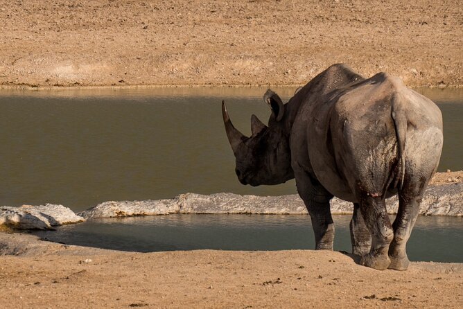 7 Day Taste of Namibia Lodging Safari - Day 7: Cheetahs, apple pie, and the road back