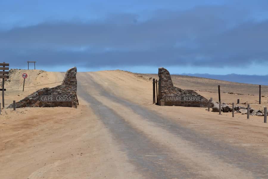 Cape Cross and Henties Bay Guided Tour SkeletonCoast Namibia - Key points at a glance